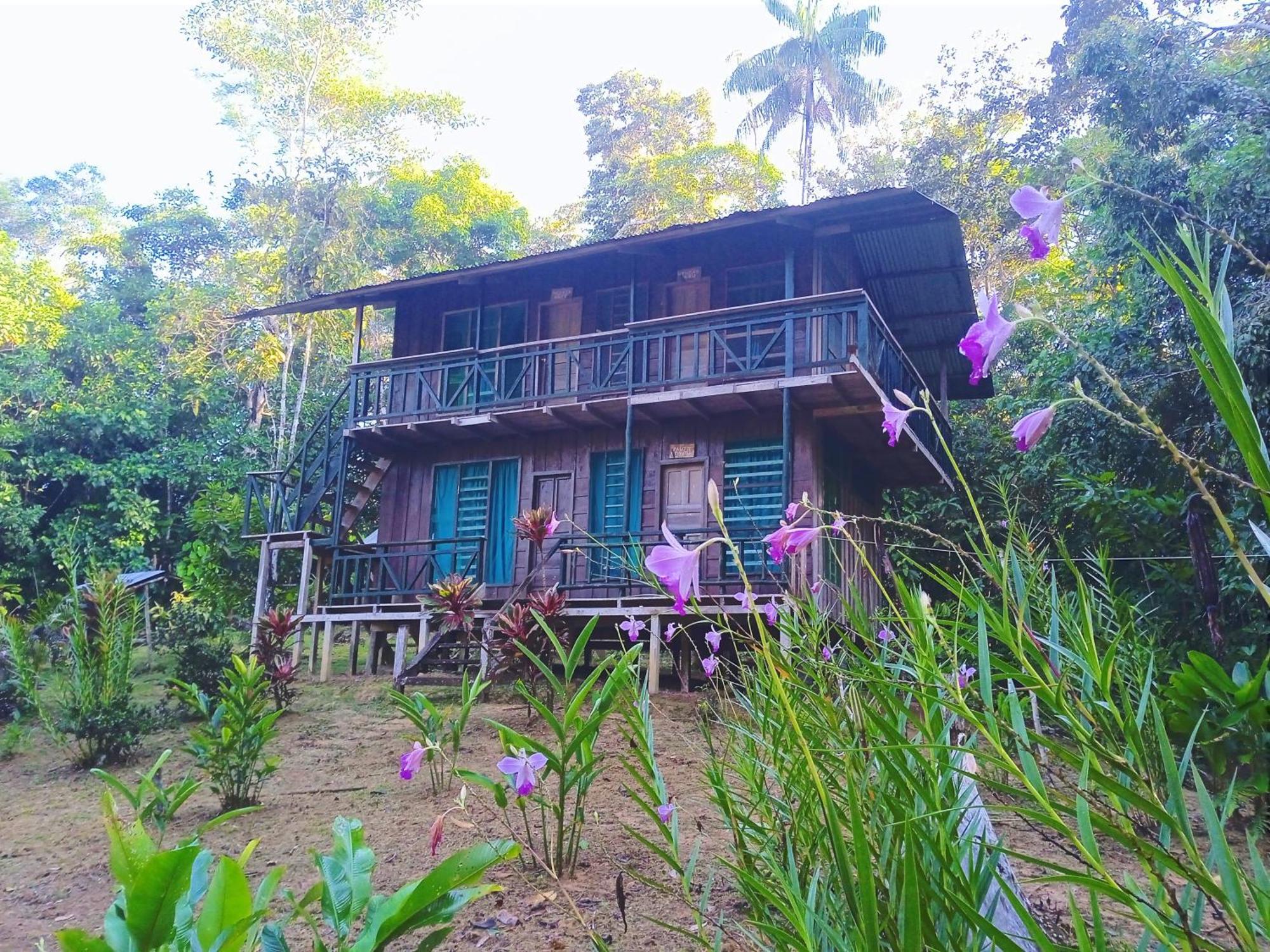 Cabanas Eco Logicas Mu'Ue Loreto Mocagua 외부 사진