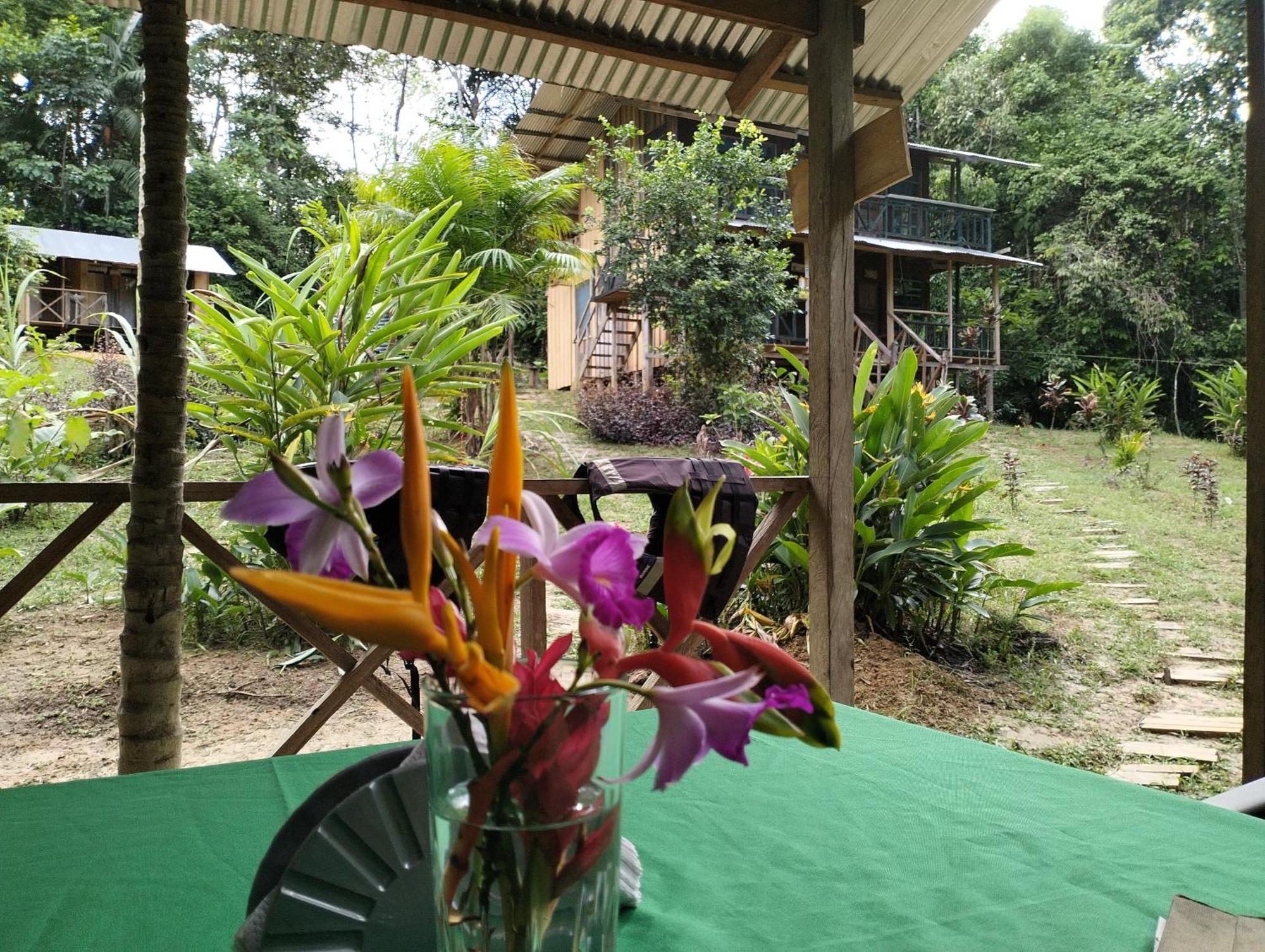 Cabanas Eco Logicas Mu'Ue Loreto Mocagua 외부 사진