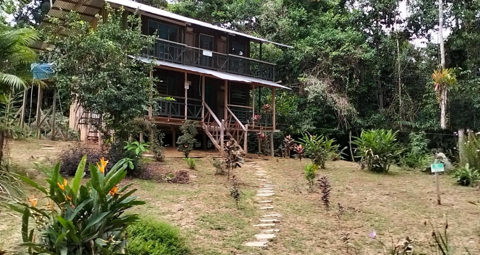 Cabanas Eco Logicas Mu'Ue Loreto Mocagua 외부 사진